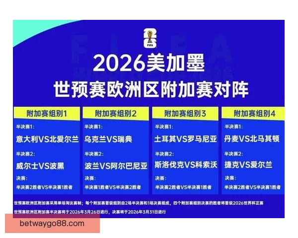 2026年世界杯冠军争夺战分析各队实力与赛程预测